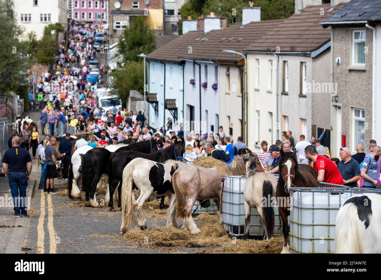 Des chevaux et des poneys sont exposés, lors de la foire de l'Ould Lammas, le lundi du jour férié, à Ballycastle, en Irlande du Nord. Banque D'Images