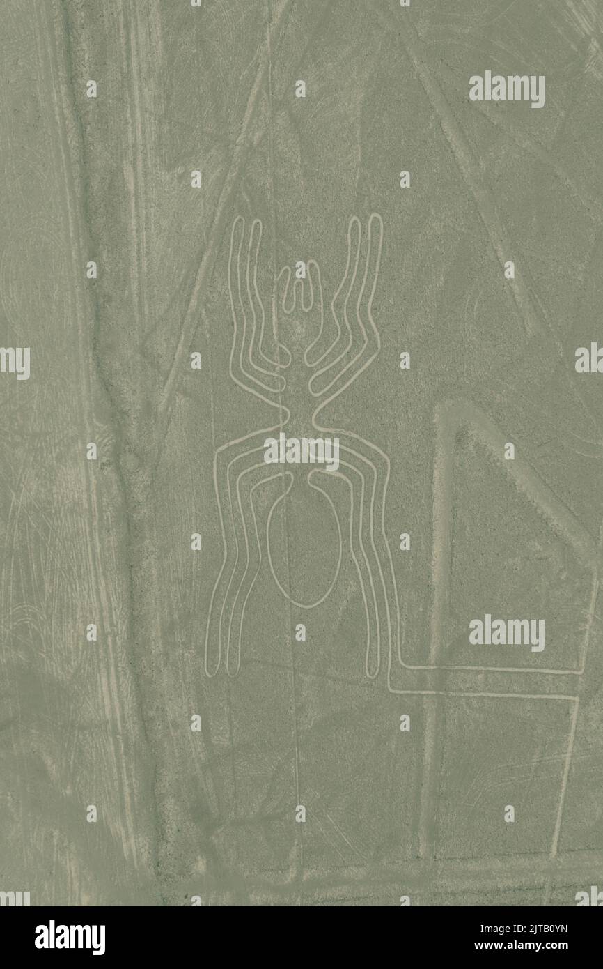 Un gros plan vertical des lignes de Nazca dans un contour d'araignée, Pérou Banque D'Images