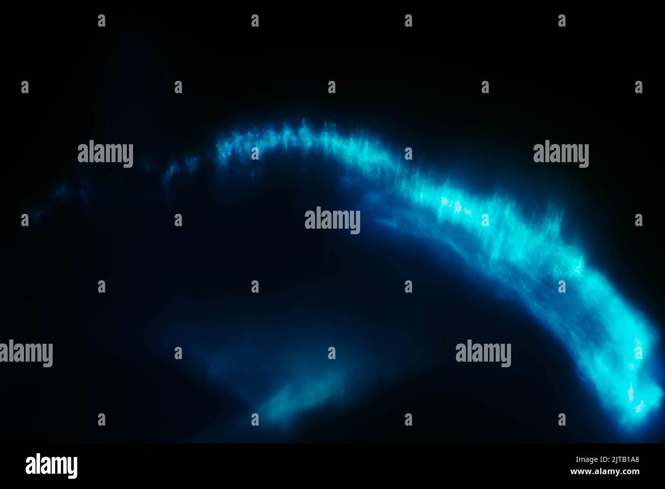 lentille lumineuse bleu fluo éclat de plancton effet de lueur Banque D'Images