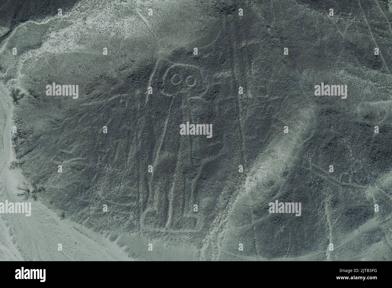 Un gros plan de Nazca Lines, un ancien géoglyphe cryptique au Pérou Banque D'Images