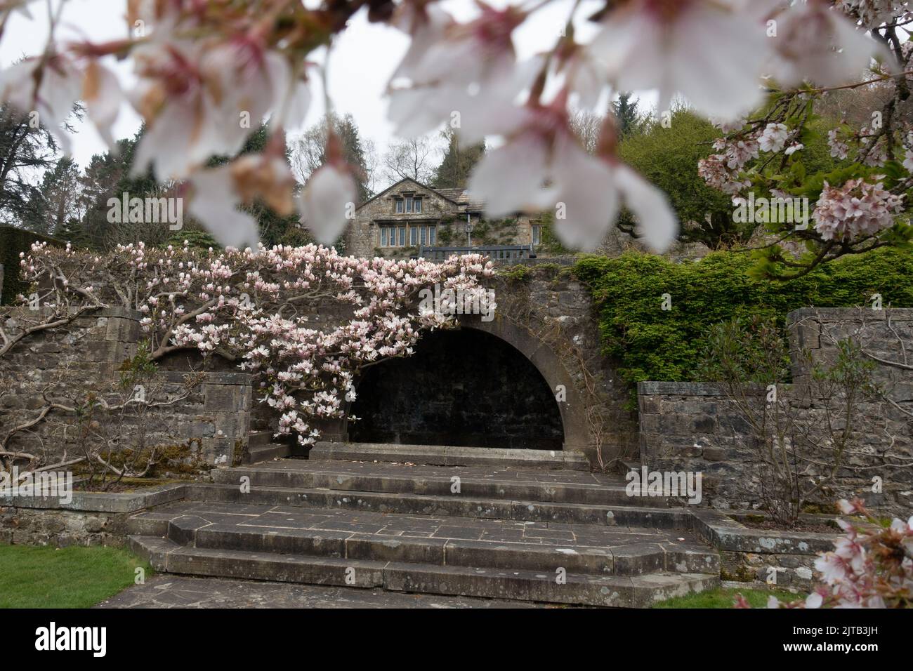 Vue sur les jardins, les cerisiers en fleurs et le magnolia à Parceevall Hall, dans le parc national du Yorkshire Dales, Angleterre, Royaume-Uni Banque D'Images
