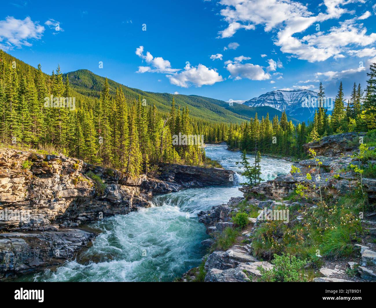 Chutes de la rivière Sheep, dans les Montagnes Rocheuses du sud-ouest de l'Alberta Banque D'Images