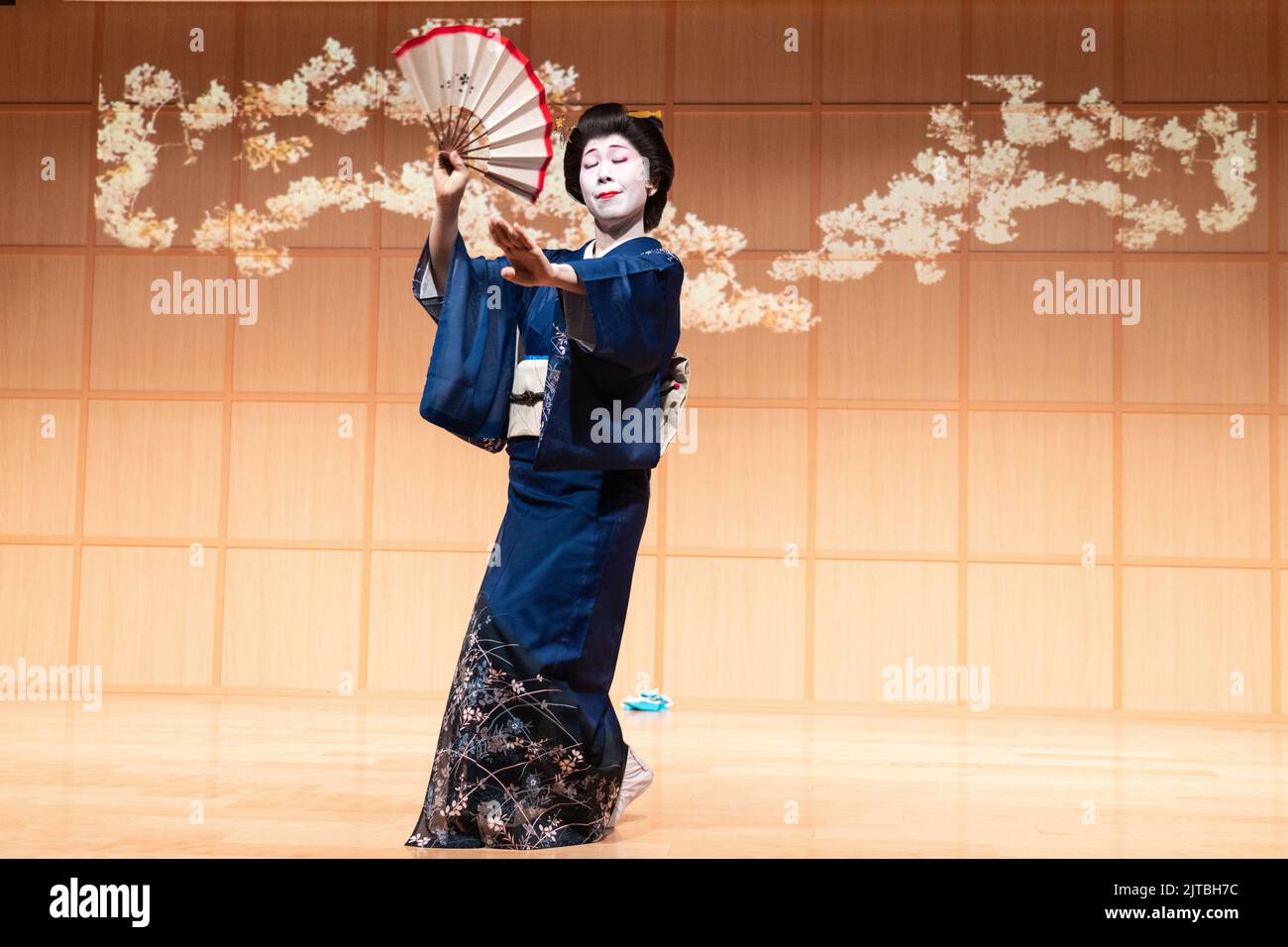 Une geisha japonaise portant un kimono, interprète une danse traditionnelle de fan au sanctuaire Kanda Myojin, à Chiyoda, Tokyo, Japon. Banque D'Images