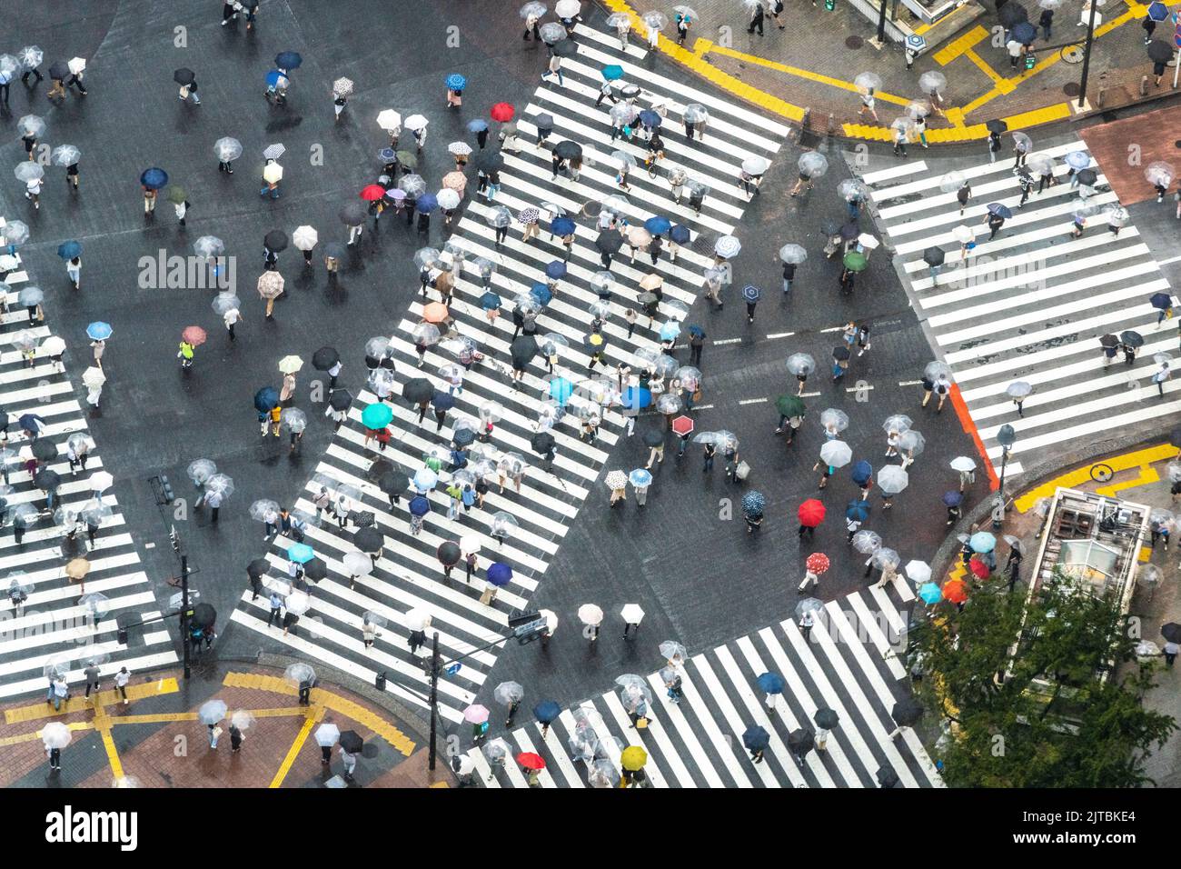 Des piétons avec des parasols traversent l'intersection multidirectionnelle de traversée de brouille connue sous le nom de Shibuya Crossing dans Shibuya Ward, Tokyo, Japon. L'intersection est considérée comme l'intersection piétonne la plus achalandée au monde. Banque D'Images