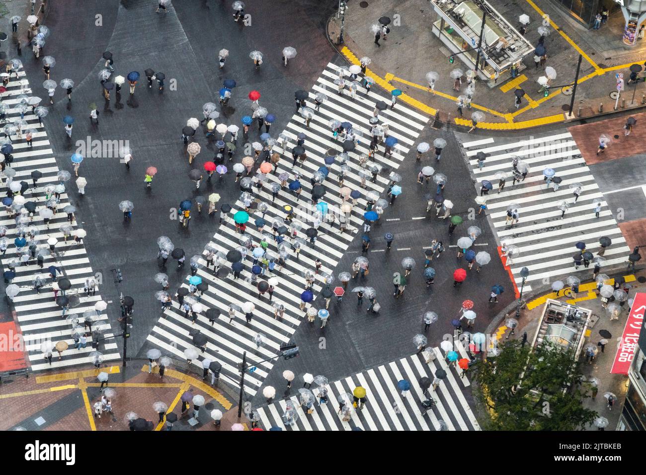 Des piétons avec des parasols traversent l'intersection multidirectionnelle de traversée de brouille connue sous le nom de Shibuya Crossing dans Shibuya Ward, Tokyo, Japon. L'intersection est considérée comme l'intersection piétonne la plus achalandée au monde. Banque D'Images