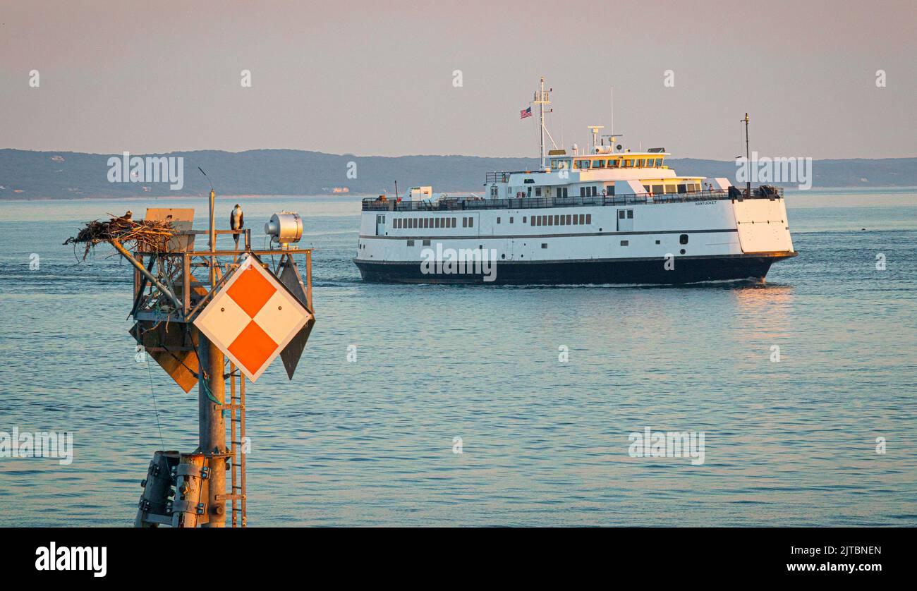 Un ferry passant par un nid d'osproie au coucher du soleil Banque D'Images