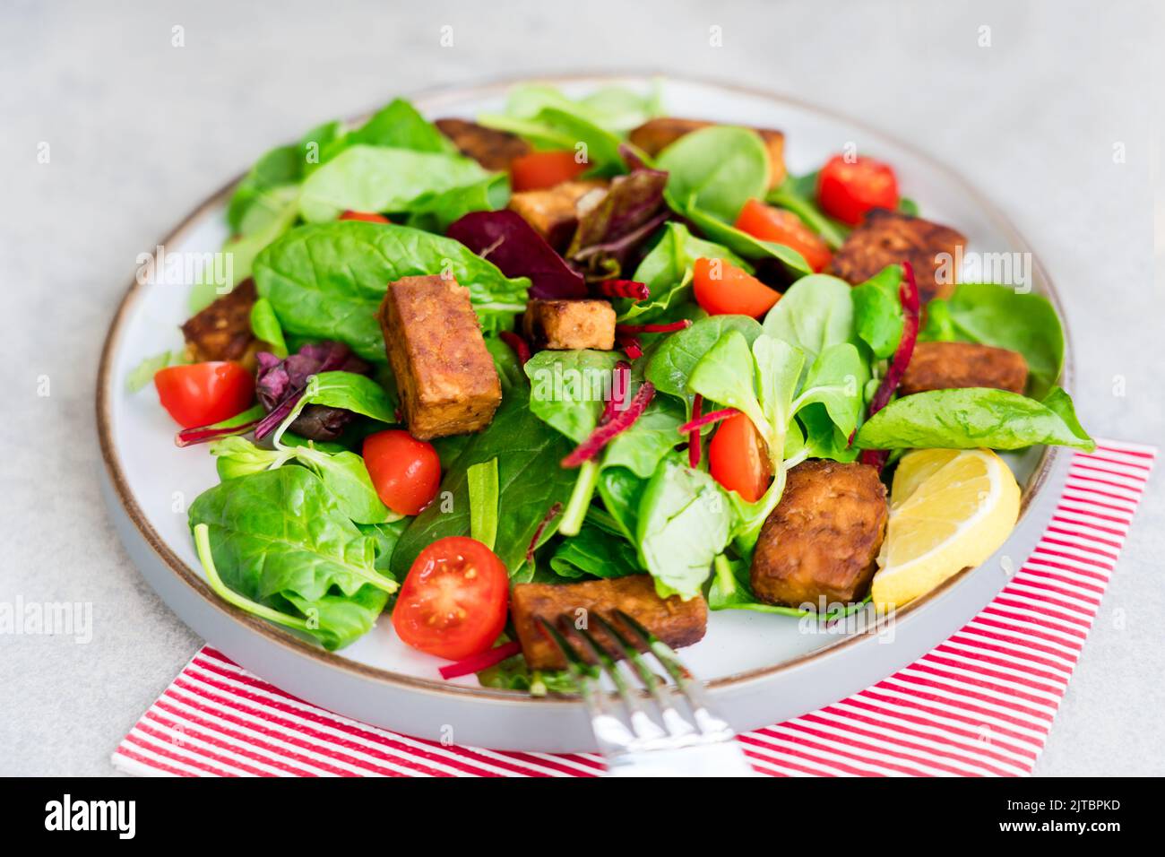 Salade saine avec tempeh rôti, tomates cerises fraîches, pailles de betterave, spinash et feuilles de laitue sur l'assiette. La tempeh est une graine de soja fermentée. Bas de l'usine Banque D'Images Salade saine avec tempeh rôti, tomates cerises fraîches, pailles de betterave, spinash et feuilles de laitue sur l'assiette. La tempeh est une graine de soja fermentée. Bas de l'usine Banque D'Images