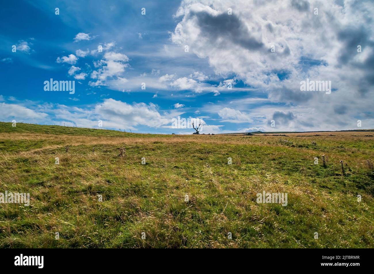 Une grange abandonnée et un arbre mort sur une terre de pâturage avec un ciel d'été spectaculaire et des murs en pierre sèche près de Castleton dans le Peak District. Banque D'Images