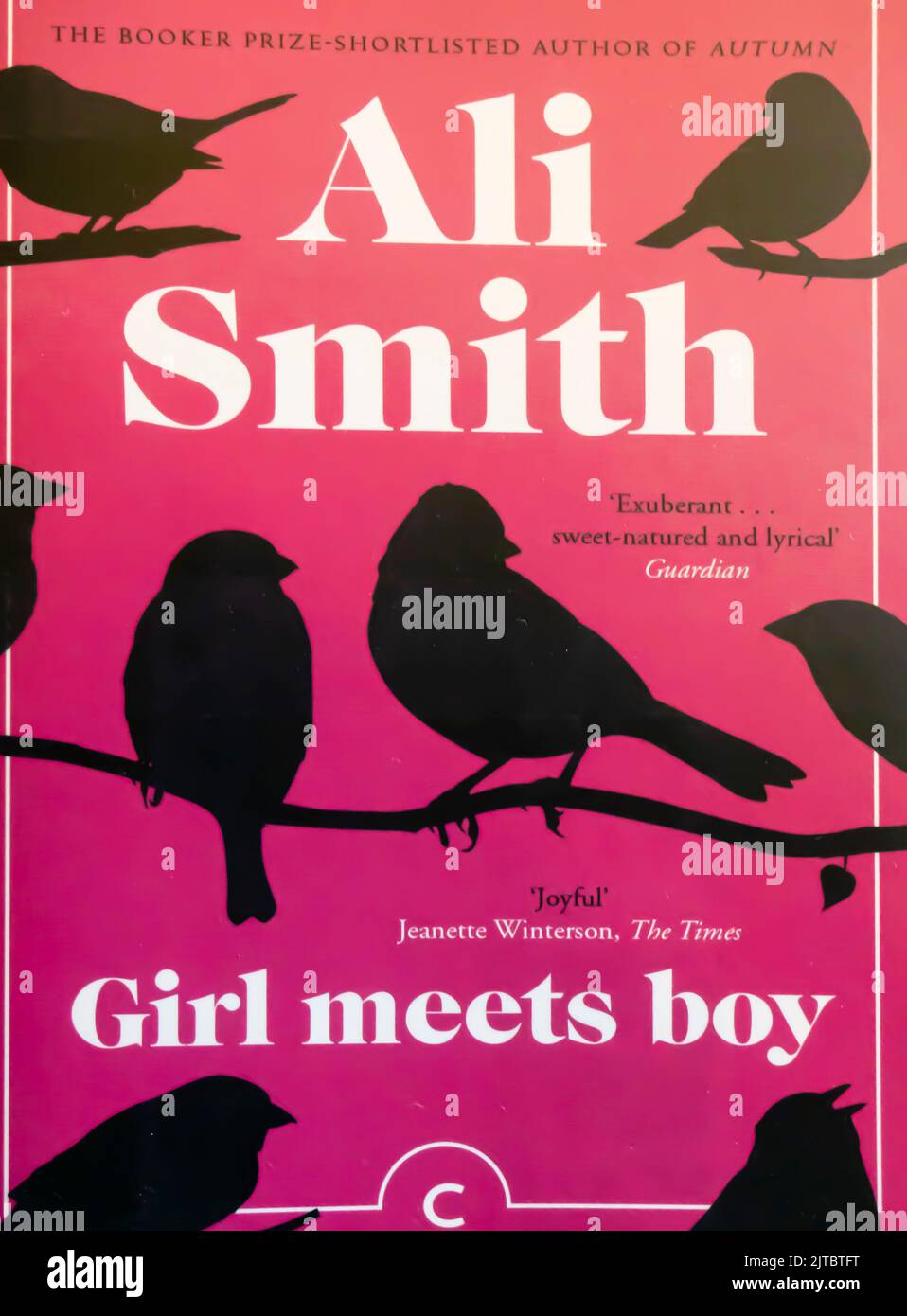 Fille rencontre garçon - roman d'Ali Smith -2007. Couverture de livre Banque D'Images