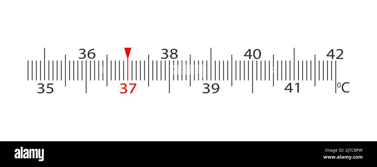 Échelle horizontale du thermomètre de corps avec marquage de la température en degrés Celsius de 35 à 42 degrés. Modèle simple pour outil de mesure médical isolé sur fond blanc. Illustration graphique vectorielle Illustration de Vecteur