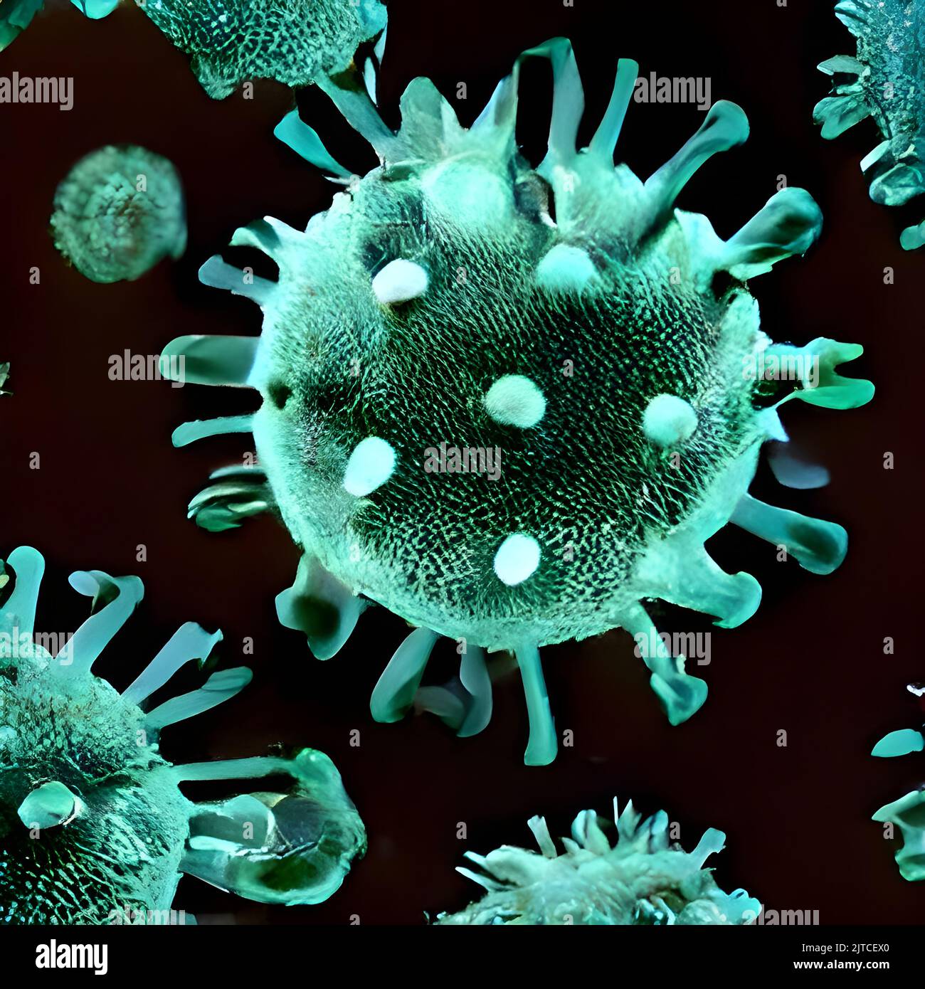 Vue microscopique des cellules flottantes du virus de la grippe. Maladie dangereuse Banque D'Images