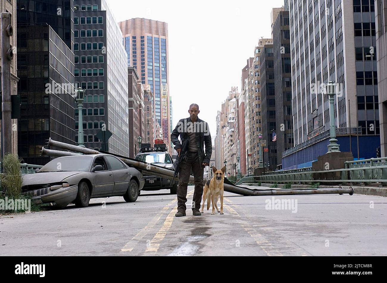 WILL SMITH, chien, I Am Legend, 2007 Banque D'Images