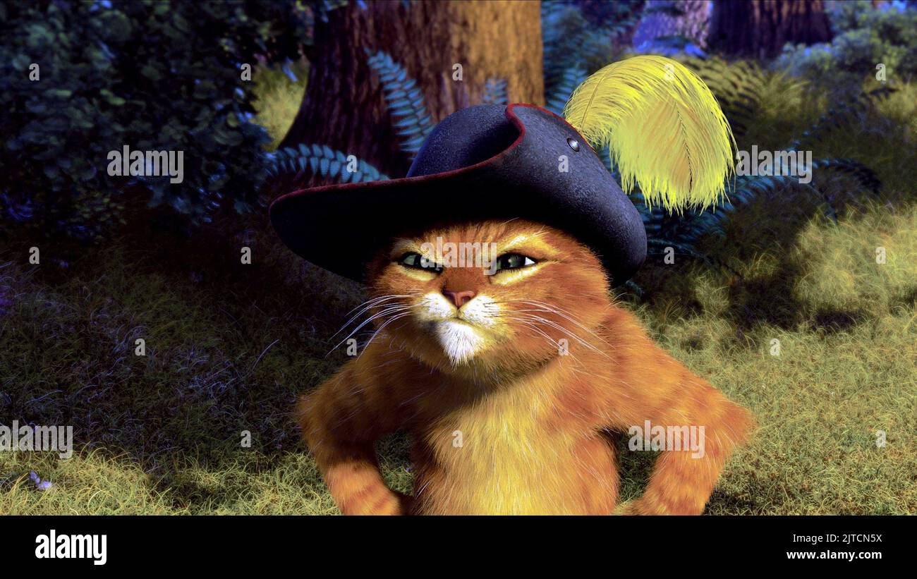 Shrek cat Banque de photographies et d’images à haute résolution - Alamy