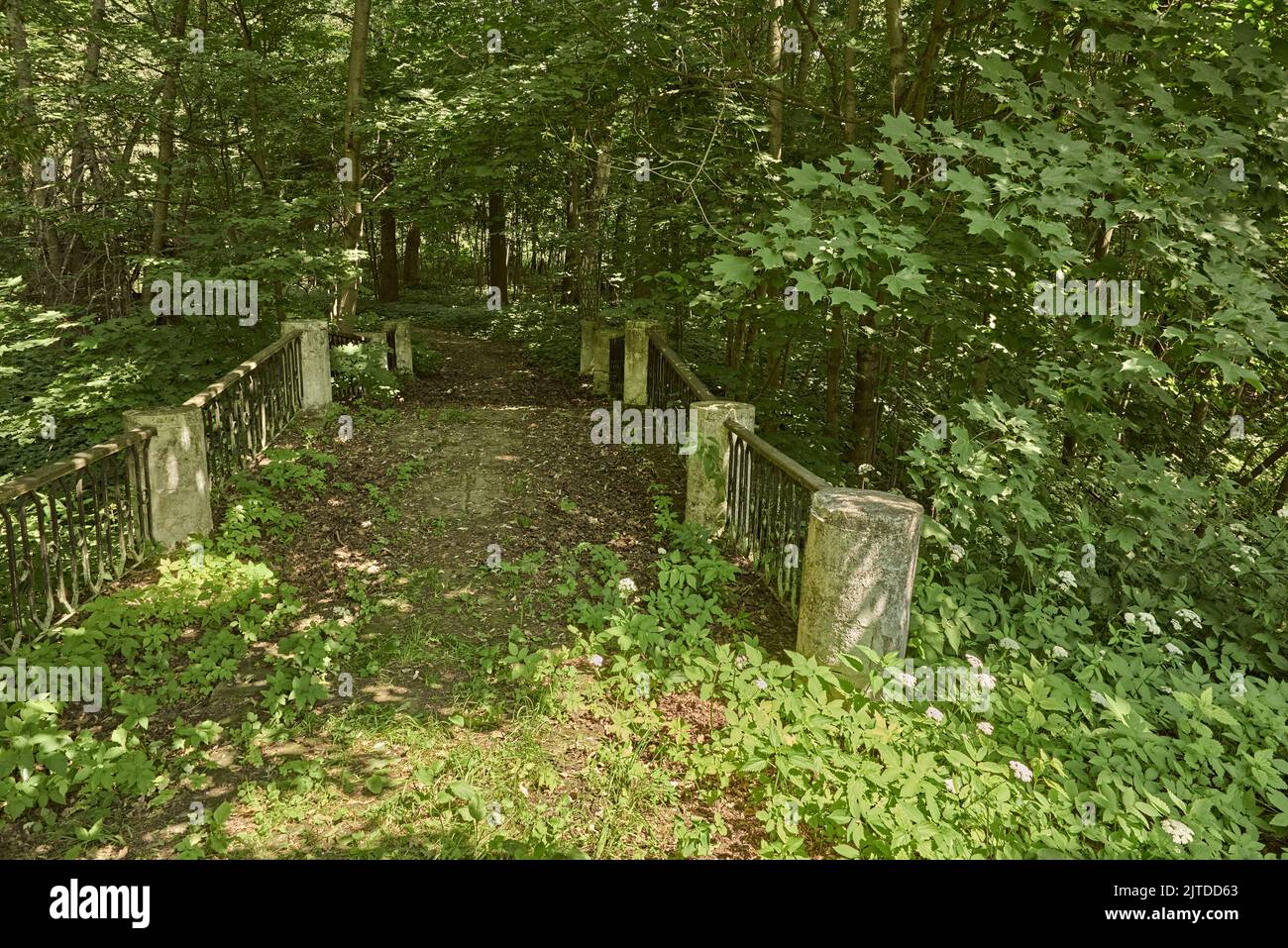 Été jour nuageux. Dans la forêt, il y a un vieux pont incurvé avec des bollards ronds massifs et un parapet en métal forgé. Un pont à l'ombre Banque D'Images