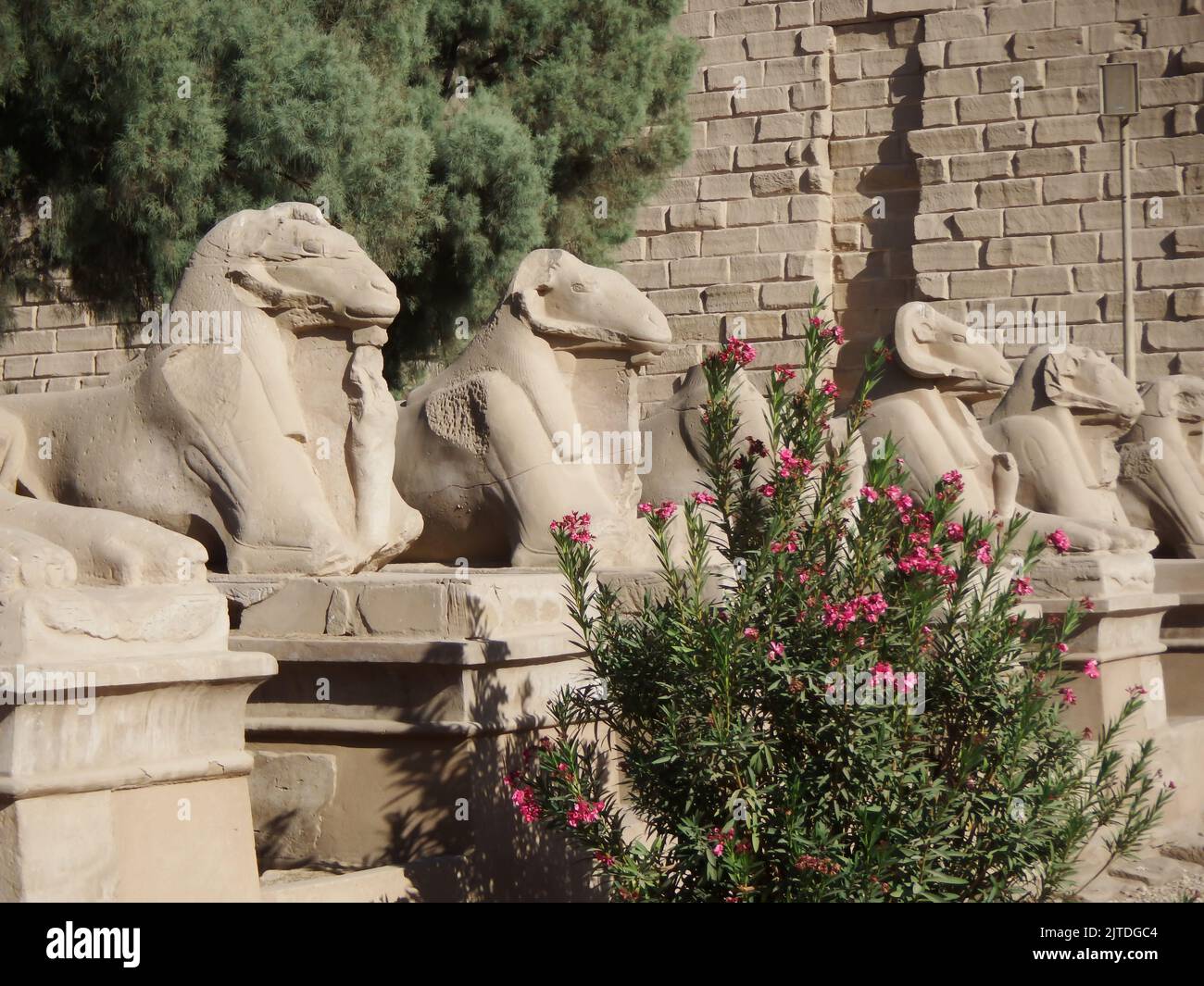 Statues anciennes de l'Égypte Banque D'Images
