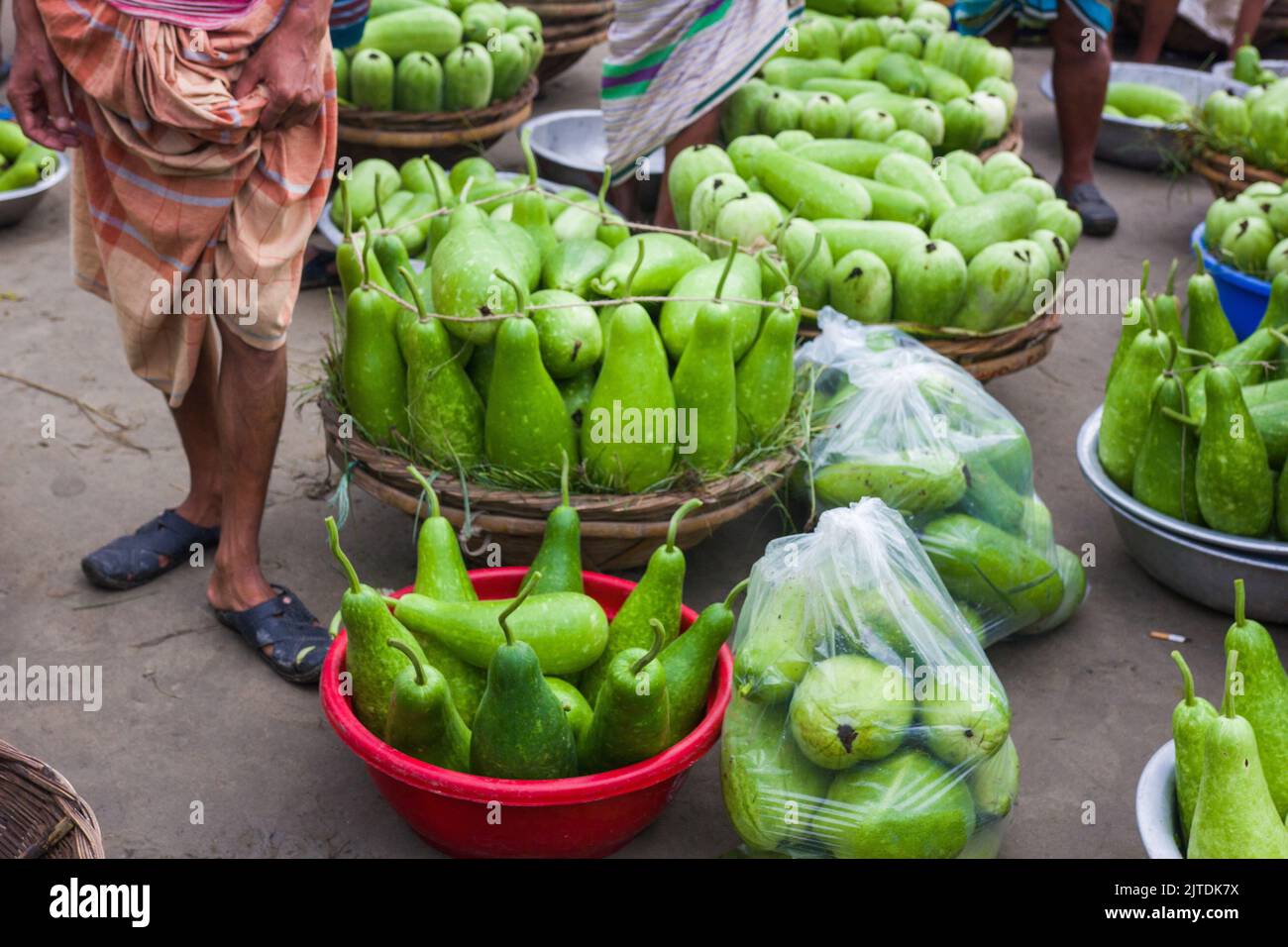 Les légumes sont l'une des principales sources de revenu pour les agriculteurs bangladais. Auparavant, il était uniquement destiné à la consommation des ménages, mais il est désormais devenu des cultures de rente. Banque D'Images