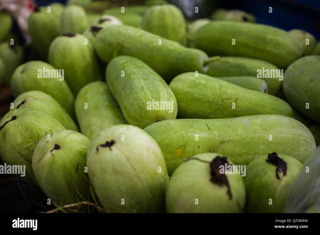 Les légumes sont l'une des principales sources de revenu pour les agriculteurs bangladais. Auparavant, il était uniquement destiné à la consommation des ménages, mais il est désormais devenu des cultures de rente. Banque D'Images