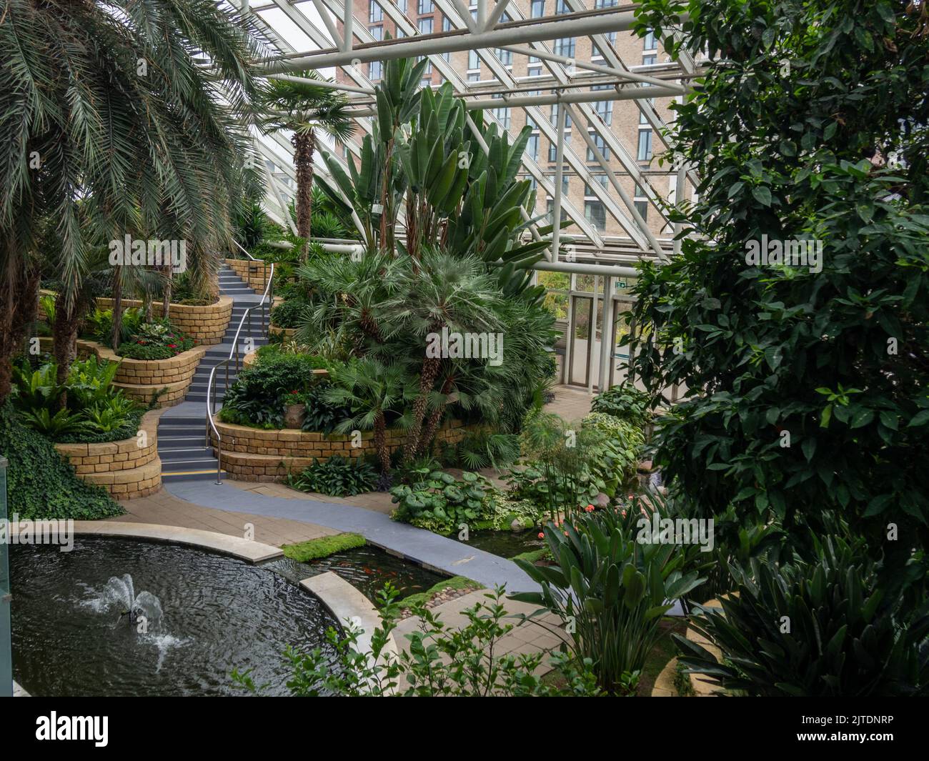 Jardins tropicaux sous verre, une partie de le Bannatyne Health Club and Spa, Milton Keynes, UK Banque D'Images