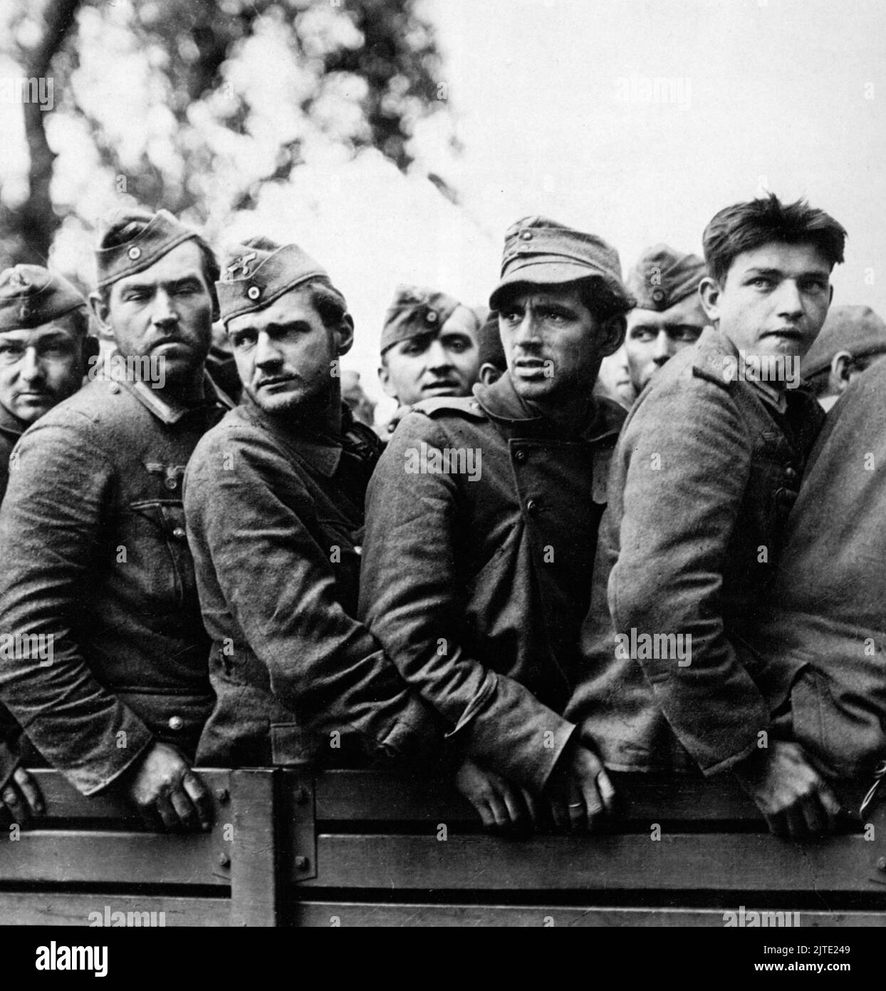 Une photo d'époque vers septembre 1944 montrant les prisonniers de guerre allemands de la division de parachutisme allemande 2nd après avoir été capturés pendant la bataille de Brest, en France, la deuxième guerre mondiale. Banque D'Images