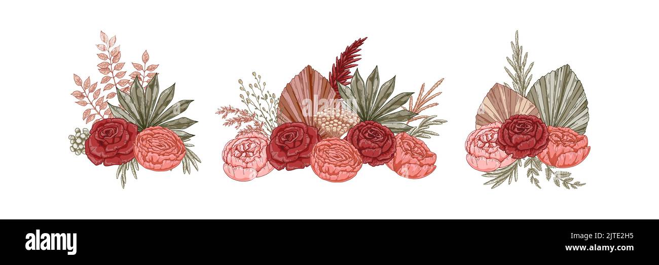 Ensemble de compositions modernes de fleurs séchées. Bouquets de boho. Illustration vectorielle dessinée à la main Illustration de Vecteur
