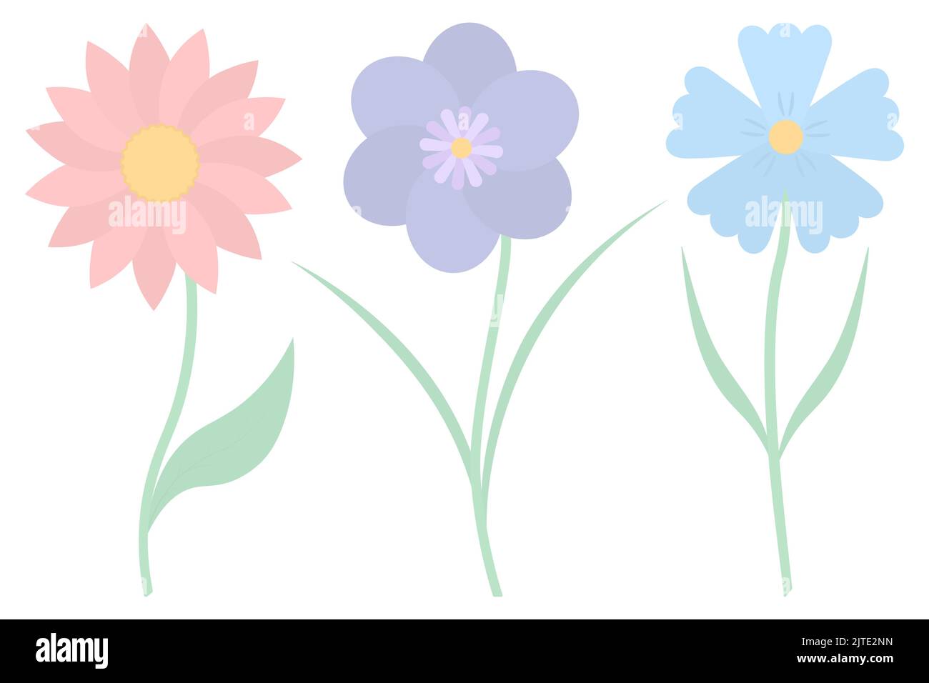 Fleurs. Collection d'illustrations vectorielles. Plante à fleurs avec des feuilles vertes et un centre jaune. Style plat. Arrière-plan isolé. Illustration de Vecteur