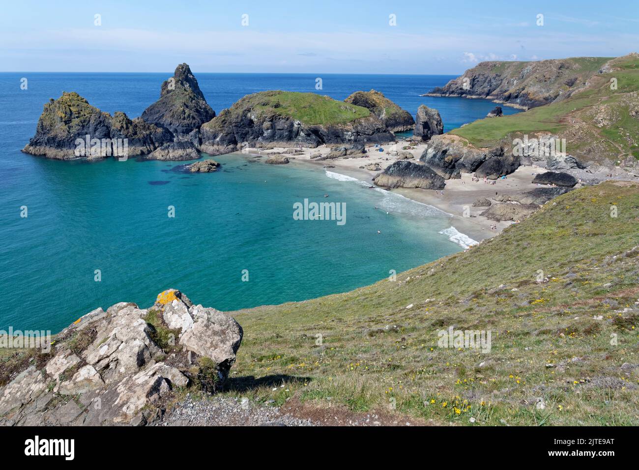 Kynance Cove Overview, The Lizard, South Cornwall, Royaume-Uni, juin 2021. Banque D'Images