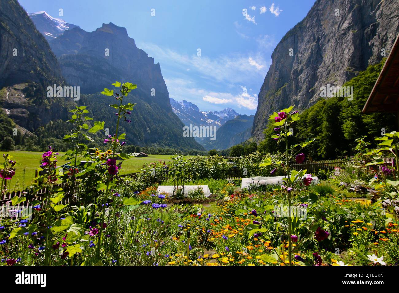 Vallée de Lauterbrunnen Suisse Banque D'Images