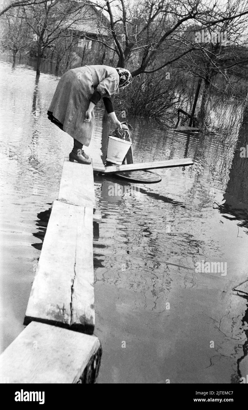 Die Wuhle, ein kleiner Nebenfluss der Spree, bringt Hochwasser nach Kaulsdorf im Bezirk Marzahn-Hellersdorf, hier holt eine ältere Frau sauberes Trinkwasser, Berlin, Allemagne 1947. Banque D'Images