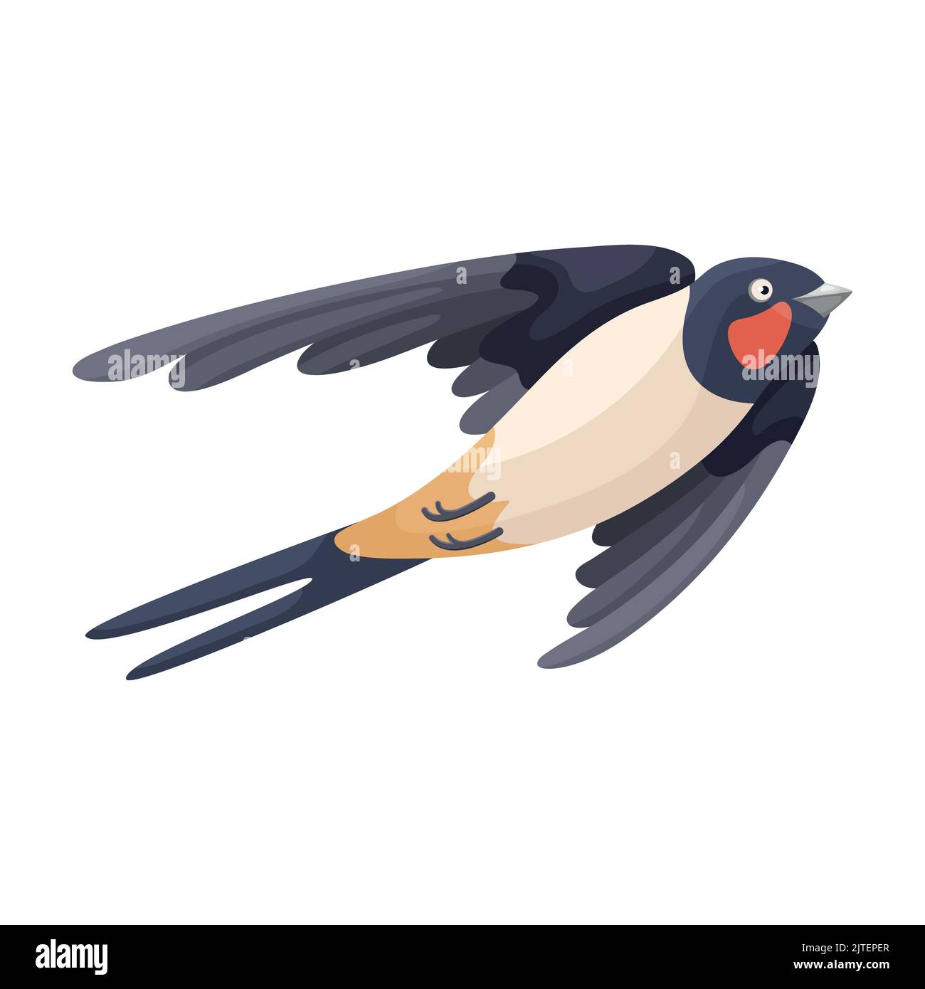 Dessin animé volant hirondelle de style plat. Joli oiseau de ville coloré. Elément isolé pour la conception. Image pour le livre éducatif pour enfants et l'encyclopédie ornithologique. Un oiseau européen commun. Icône simple Illustration de Vecteur