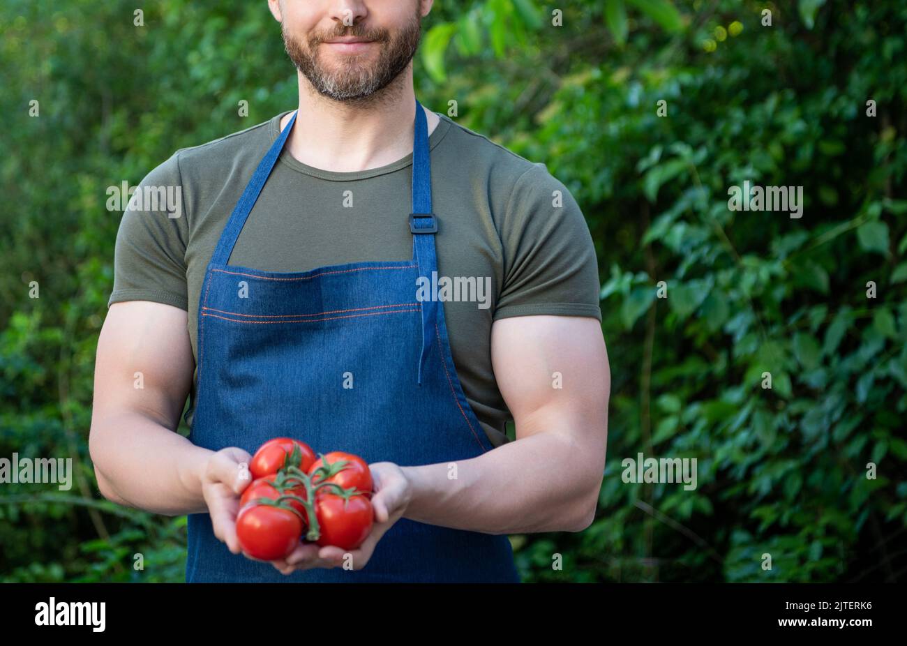 vue rognée du harbester d'homme avec bouquet de tomates Banque D'Images