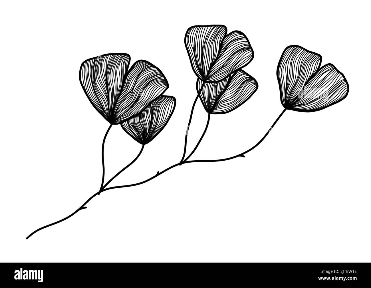 Un dessin de silhouette d'art noir et blanc de ginkgo biloba feuilles pour l'arrière-plan, le logo et d'autres besoins d'illustration Illustration de Vecteur
