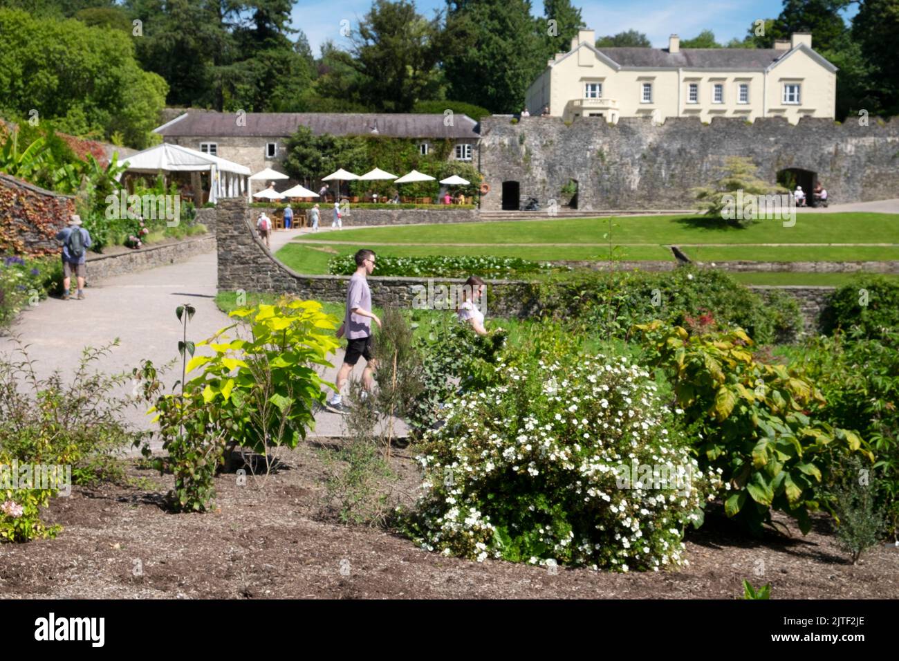 Aberglasney Gardens en été août 2022 Llanganen Carmarthenshire pays de Galles Royaume-Uni KATHY DEWITT Banque D'Images