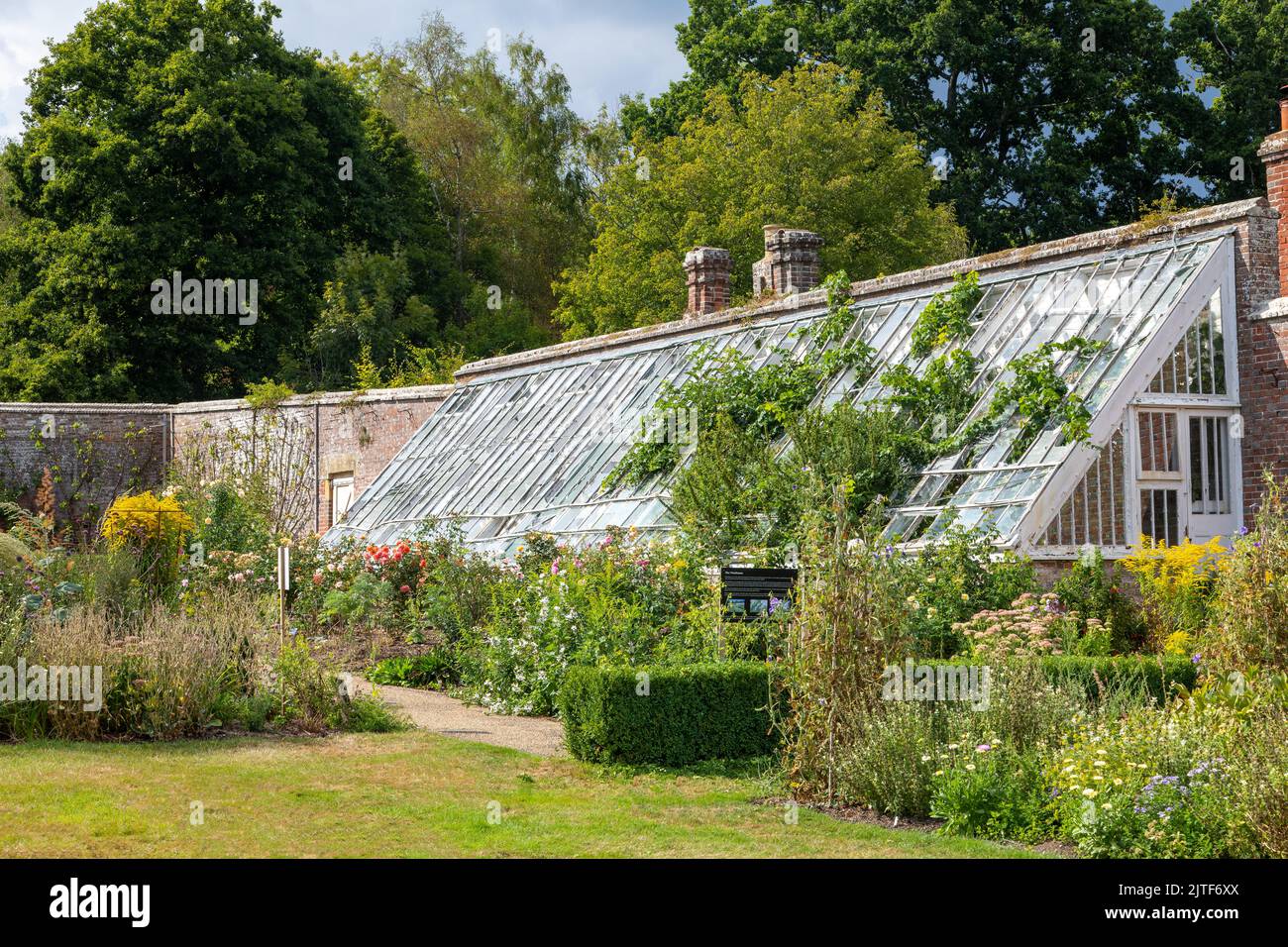 AM serre surcultivée dans le jardin clos au château de Scotney et jardins, Kent. Géré par la National Trust Banque D'Images