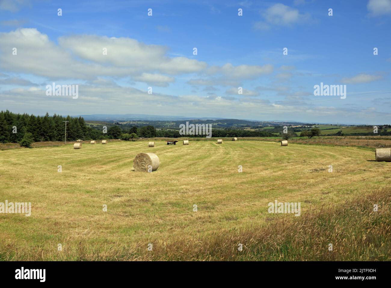 Balles de foin dans un champ par Roddlesworth Moor sur le bord de Witnell Moor près de Brinscanl Lancashire Angleterre Banque D'Images