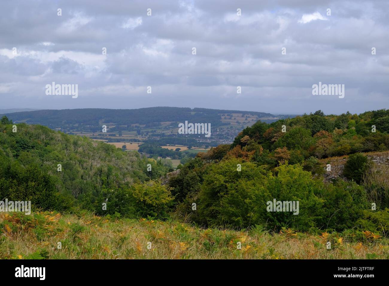 Vue vers le nord sur Burrington Combe, Somerset depuis Black Down. Banque D'Images