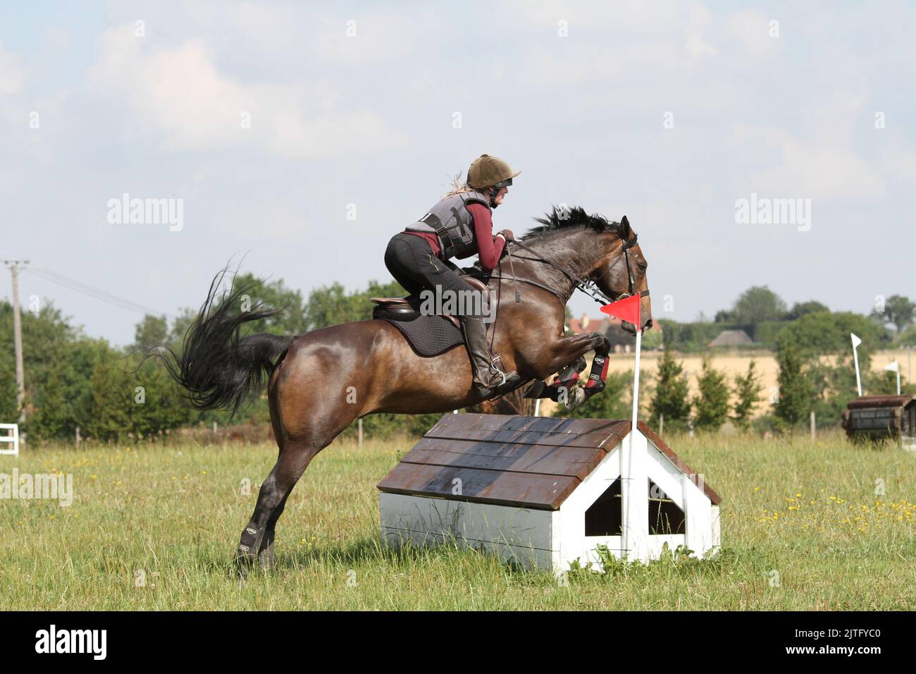 Cavalier sautant au-dessus d'une clôture de cross-country. Equestrian Banque D'Images