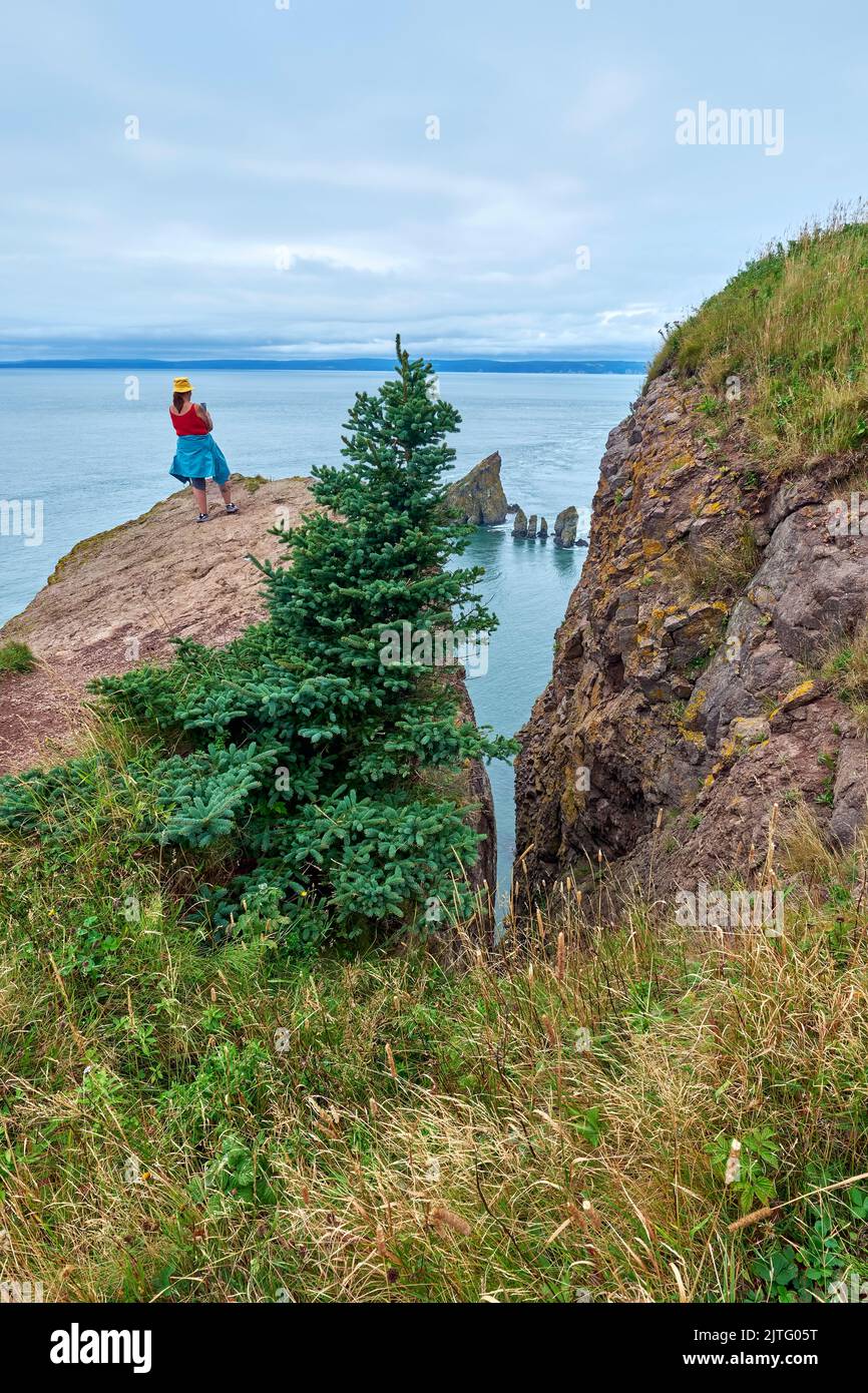 Femelle sur une corniche à 400 pieds au-dessus de la baie de Fundy, à Cape Split, Nouvelle-Écosse, prenant une photo avec son téléphone portable. Banque D'Images