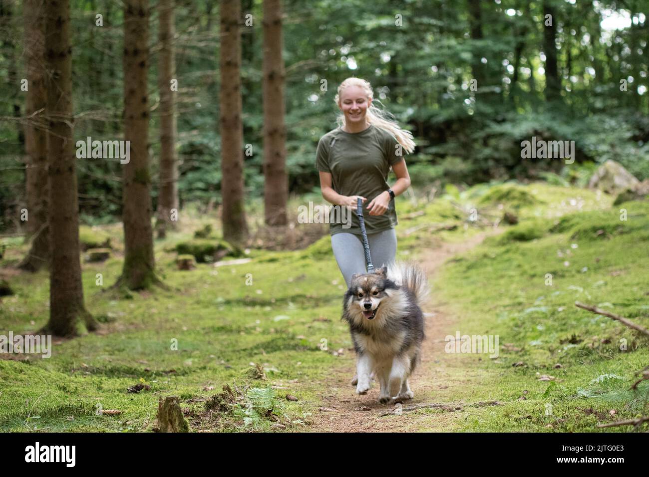 Portrait d'une jeune femme qui court avec un chien de Laponie finlandais dans la forêt ou les bois Banque D'Images