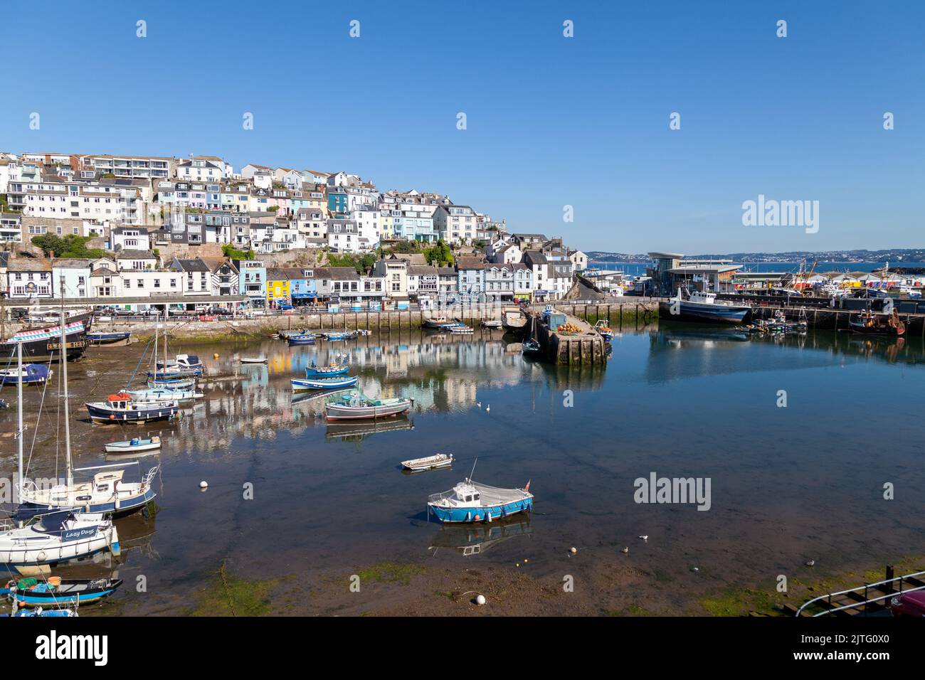 Port de Brixham à Devon. Banque D'Images