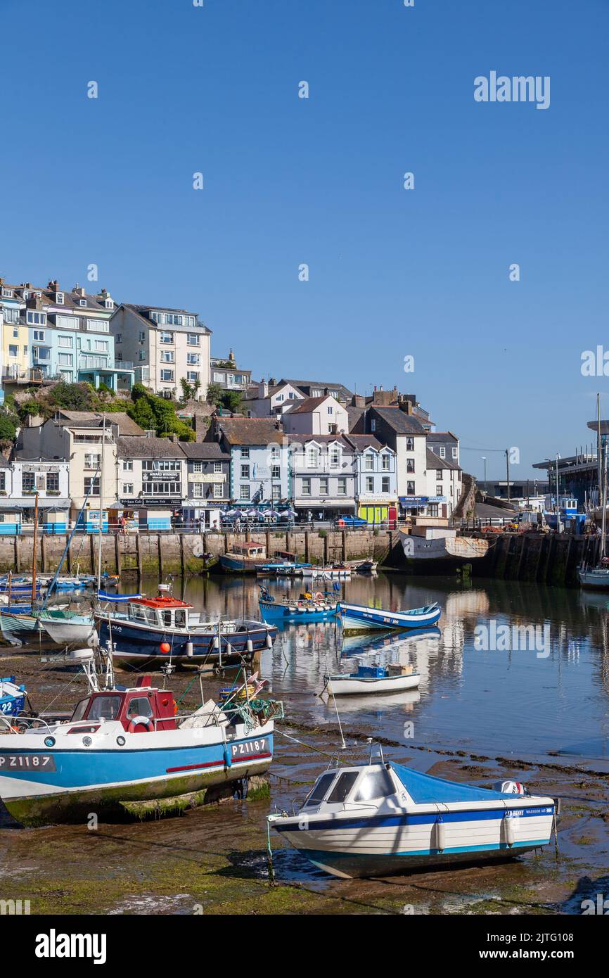 Port de Brixham à Devon. Banque D'Images