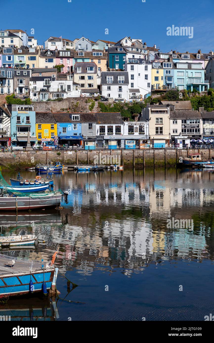 Port de Brixham à Devon. Banque D'Images