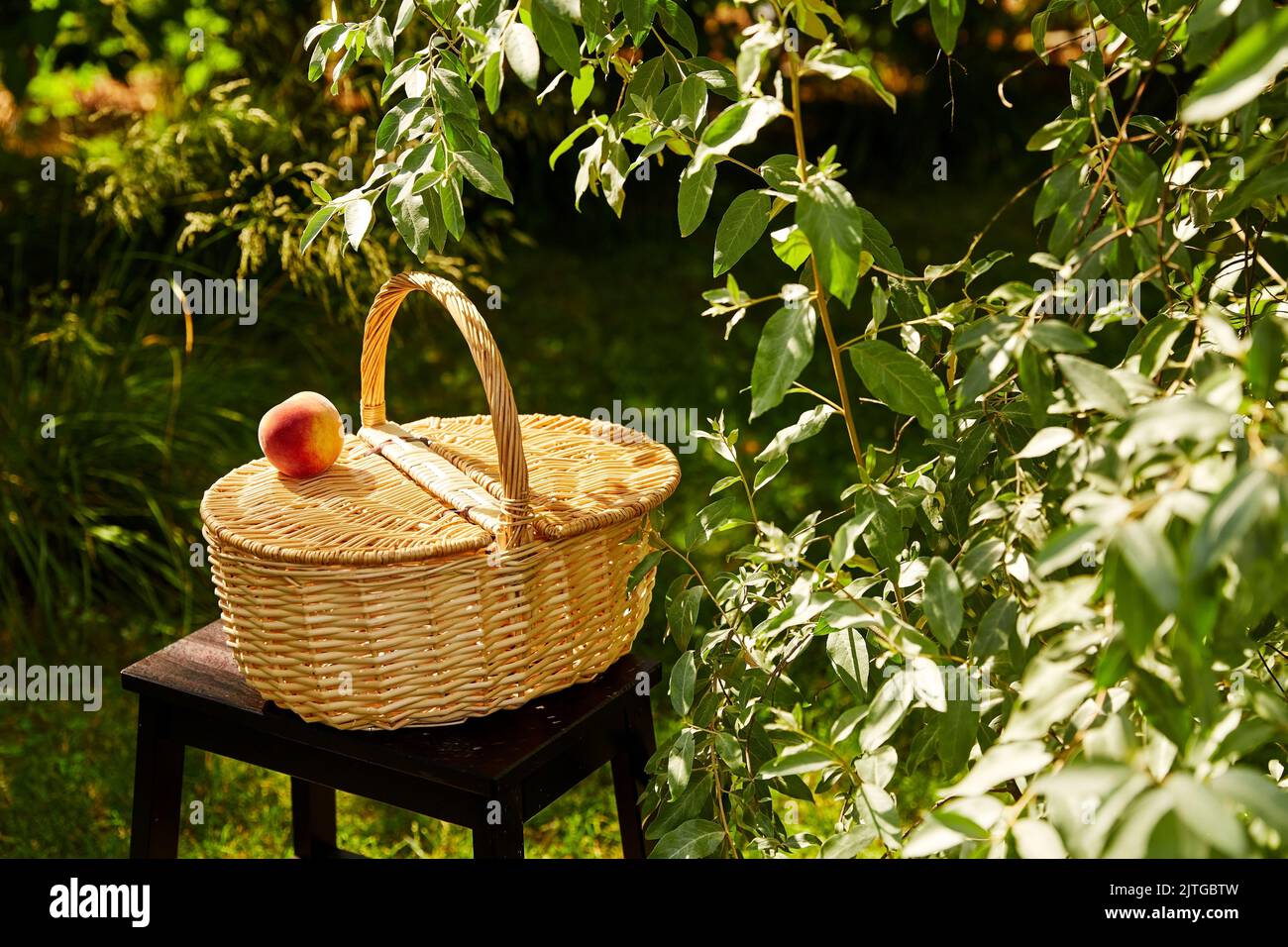 gros plan du panier de pique-nique sur le tabouret dans le jardin Banque D'Images