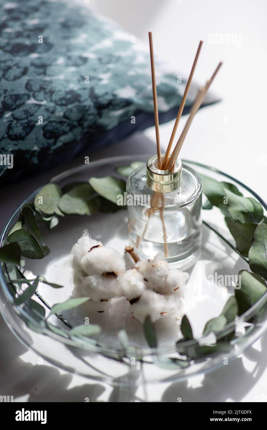 diffuseur d'arômes en roseau, fleurs de coton et eucalyptus Banque D'Images
