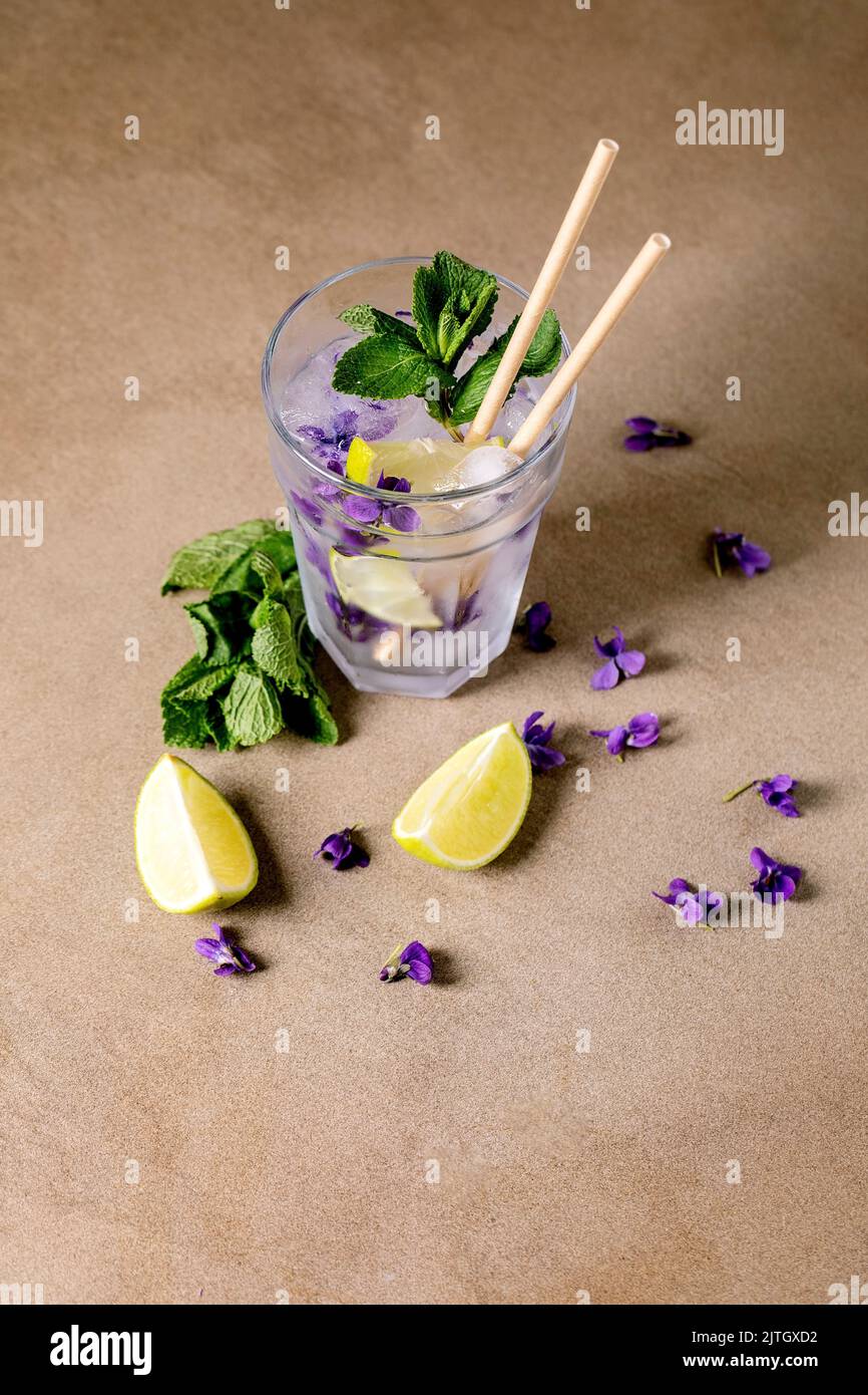 Verre transparent de soda à la limonade avec menthe, glace à la fleur de violettes et tranches de lime, pailles en papier, debout sur une table brune. Boisson d'été froide Banque D'Images