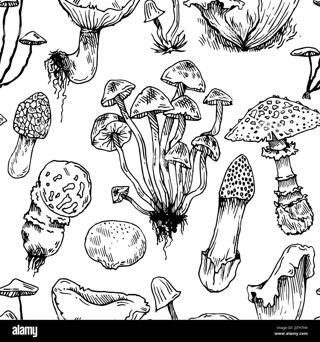 Motif champignons sans couture. Champignons comestibles et non comestibles de la forêt sauvage. Esquisse dessinée à la main. Dessin avec de l'encre. Isolé sur blanc Illustration de Vecteur