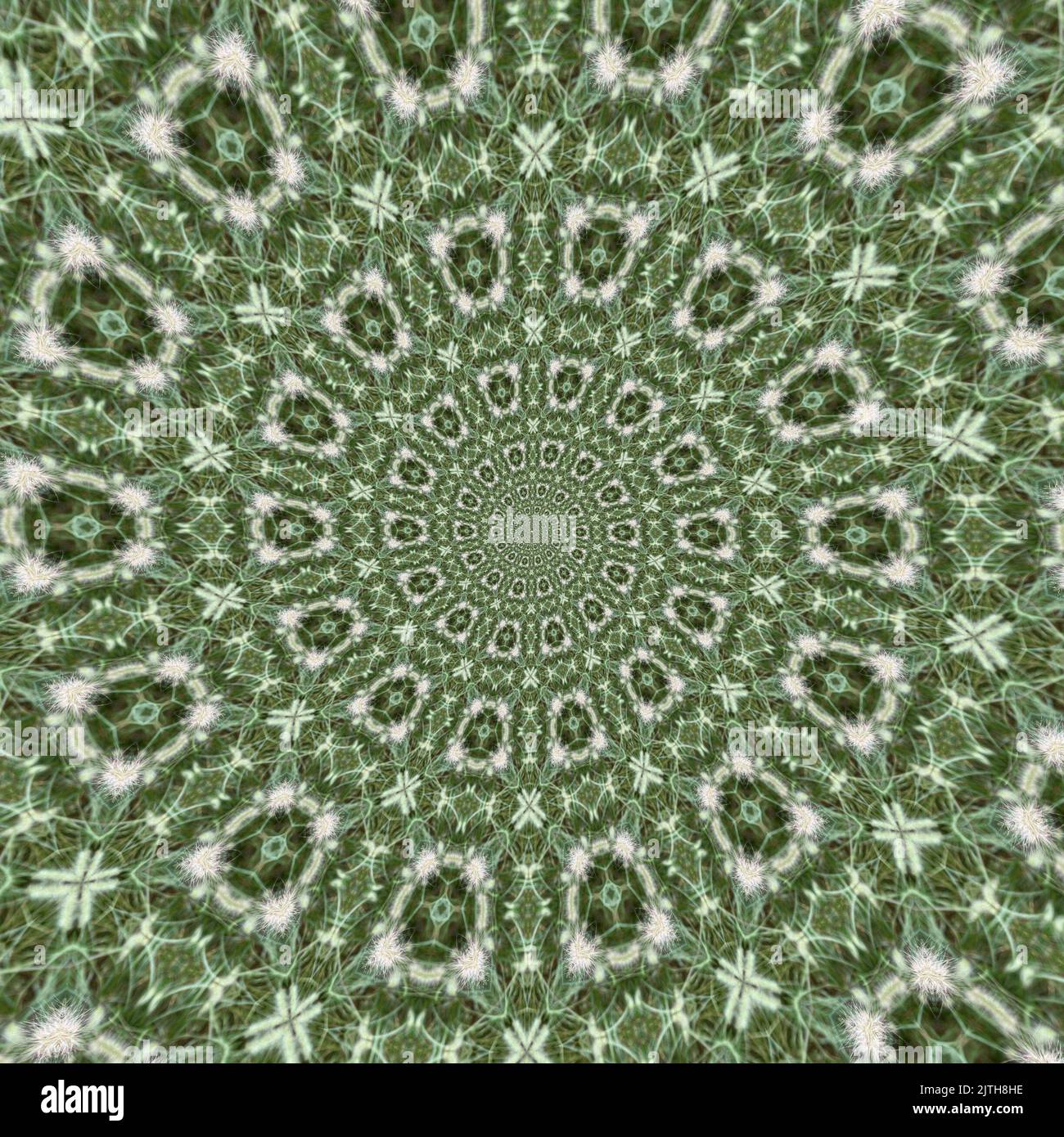 Motif de fond Kaléidoscope - motif abstrait d'inspiration botanique, en spirale Banque D'Images