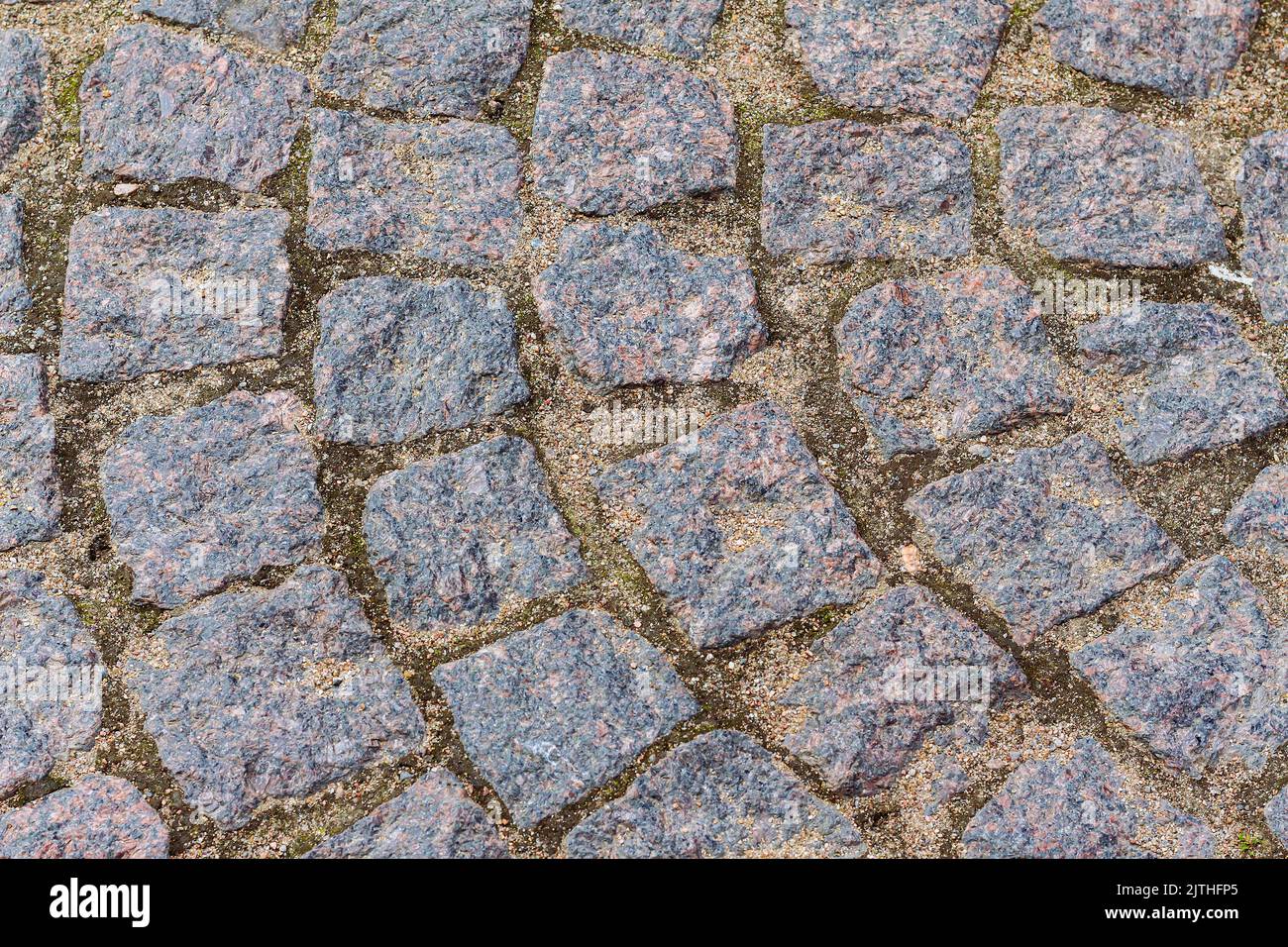Détails trottoir, texture ou arrière-plan en granit, automne. Route en ...