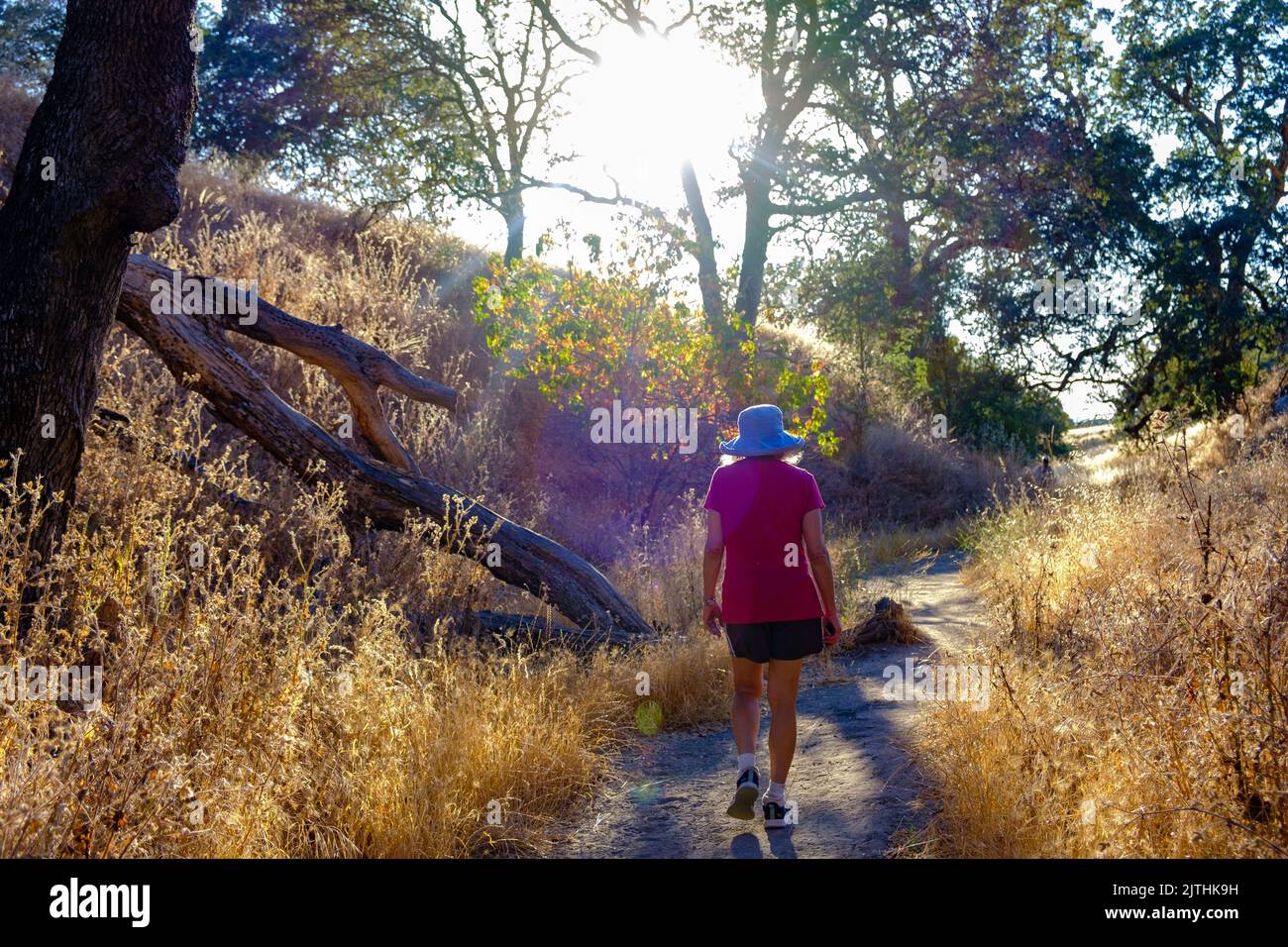 Une dame marche le long d'un sentier de terre avec des arbres et du feuillage sec à la réserve naturelle de Shell Ridge, Walnut Creek, Californie. Banque D'Images