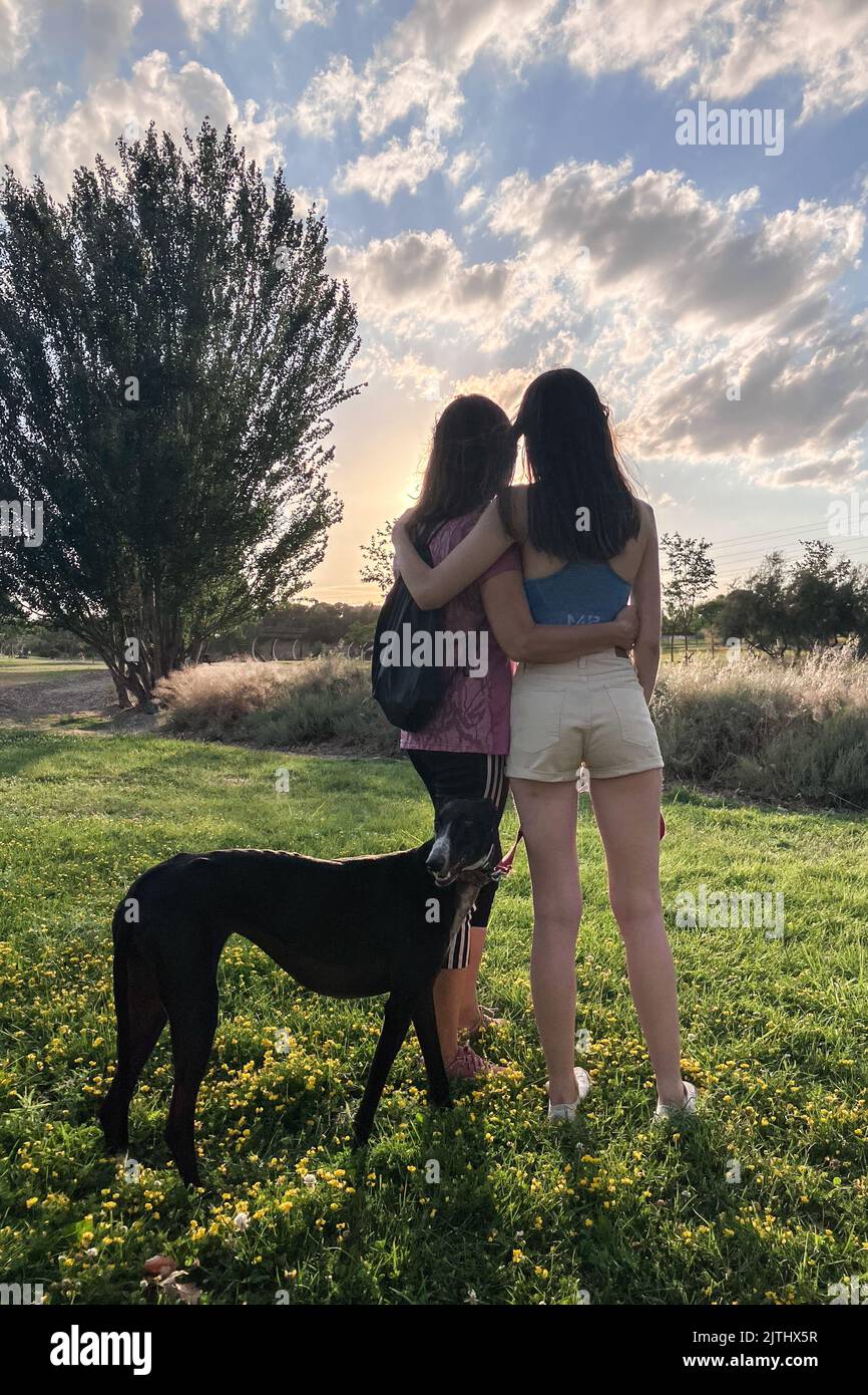 Vue de derrière le portrait d'une mère et d'une fille avec un chien qui s'embrasse au coucher du soleil dans le parc Banque D'Images