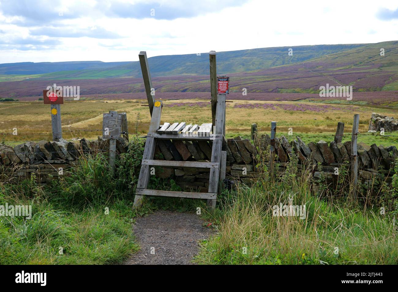 La cloison en pierre sèche de la lande est en bois et les landes de bruyère sont en arrière-plan Banque D'Images